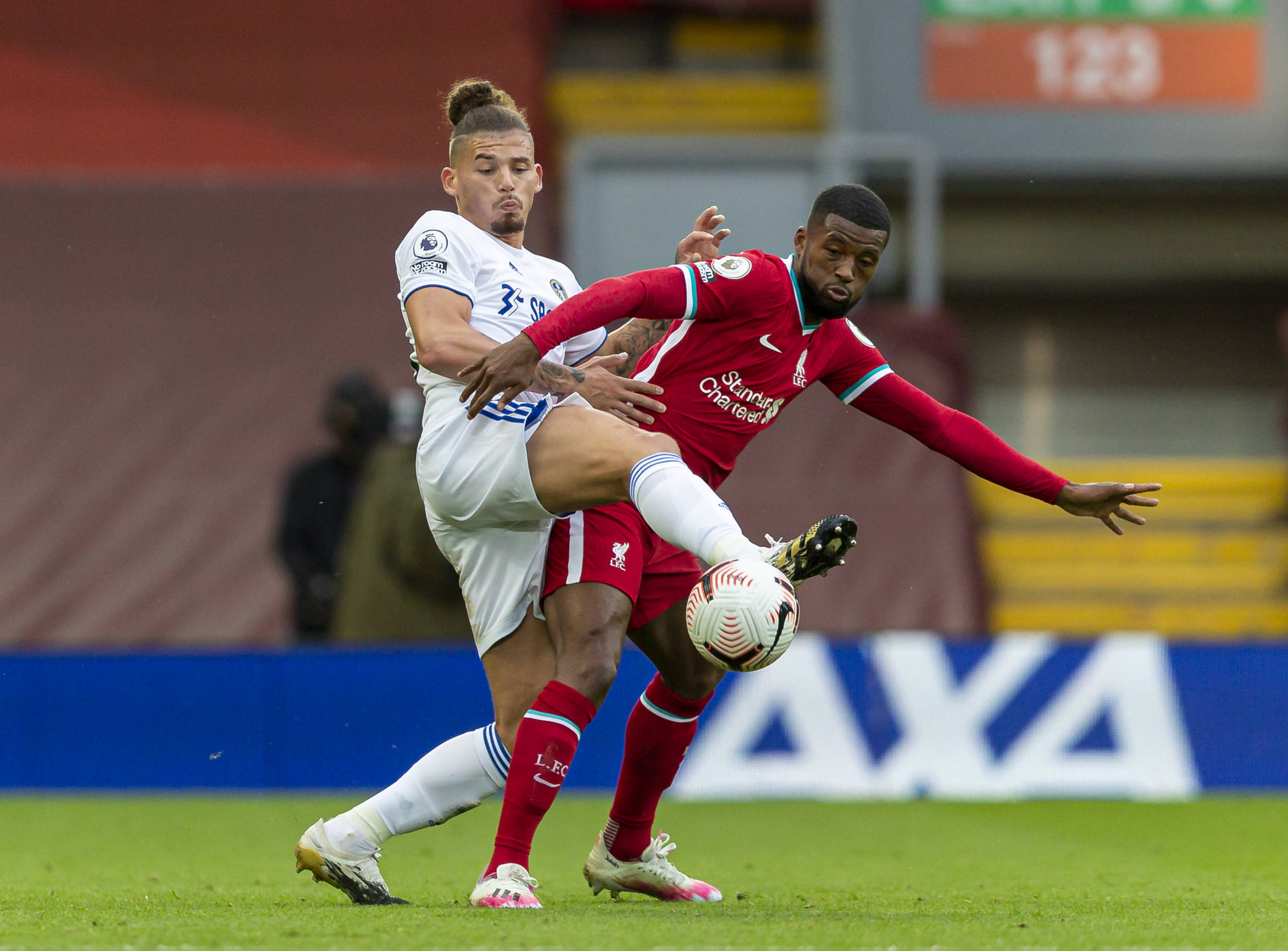 率不仅限于 率不仅限于